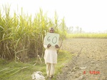 6562gt060-cropland-1.jpg