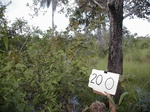 12300GT200_seasonally_flooded_wetland_savannah.JPG