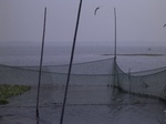 676R0015184.jpg