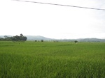 14650IMG_5031.JPG