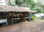 16348IMG_5129.JPG