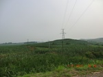 32775CIMG1907.JPG
