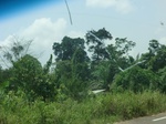 49275CIMG5612.JPG