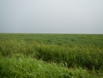 54335DSCN1609.JPG
