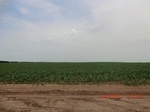 29652CIMG0888.JPG