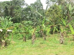 49282CIMG5619.JPG