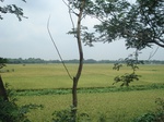 21768DSC08342.JPG