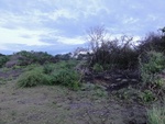 24847DSC01025.JPG