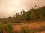54825Berau (116).JPG