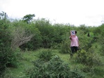 1170308-shrubland-valley-botton-includedb.gif