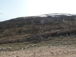 24384P1010877.JPG