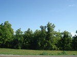 32554p205.jpg