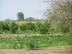 1769422042008(73).JPG