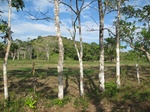 31979IMG_5627.JPG