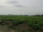 45835CIMG2920.JPG