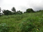 45370CIMG2455.JPG