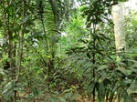 45938CIMG0227.JPG