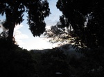 15055IMG_3871.JPG
