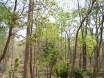 1788527042008(20).JPG