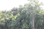 2024-10-10_17-32-29_5509DDAB-D508-41D4-9BF1-AE0FAEB61E6C.jpeg
