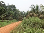 49033CIMG5370.JPG
