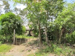 29584IMG_5151.JPG