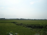 21824DSC08383.JPG
