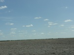 35113DSC02316.JPG
