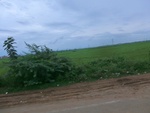 55887CIMG6583.JPG