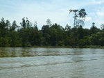 54625Bulungan (123).JPG