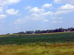 56977CIMG2071.JPG