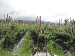 16359IMG_5143.JPG