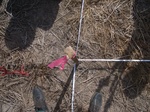 51488Vic005_G1.JPG