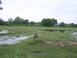 33421RIMG0161.JPG