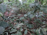 45740CIMG2825.JPG