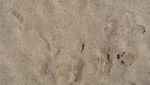 9733DSC01409.JPG