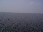 1502R0015200_tag.jpg