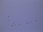 2888 053.jpg