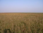 4542RIMG0002.JPG