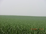 33125CIMG2360.JPG