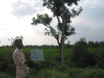 9304gt031a-cropland-rainfed-mixed-crops.gif