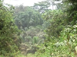 47933CIMG4270.JPG