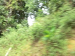49545CIMG5882.JPG
