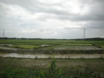 21288DSC00856.JPG