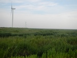 54300DSCN1573.JPG