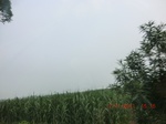 32690CIMG1821.JPG