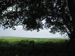 32158IMG_0709.JPG