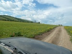 38154P1080079.JPG