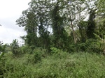49486CIMG5823.JPG