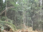 48309CIMG4646.JPG